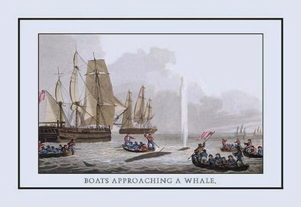 A Boat Approaching a Whale by J.H. Clark - Art Print