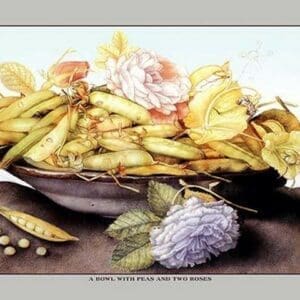 A Bowl with Pears and Two Roses by Giovanna Garzoni - Art Print