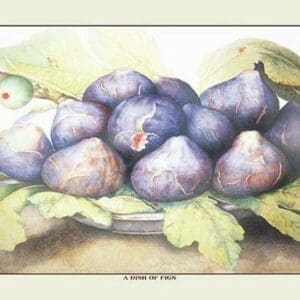 A Dish of Figs by Giovanna Garzoni - Art Print