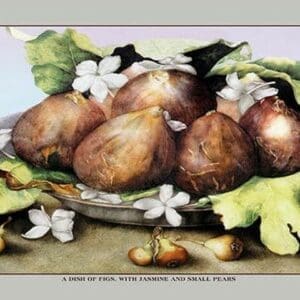 A Dish of Figs with Jasmine and Small Pears by Giovanna Garzoni - Art Print