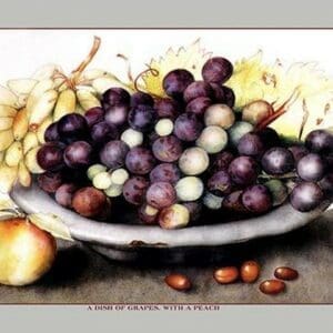 A Dish of Grapes and Peaches by Giovanna Garzoni - Art Print