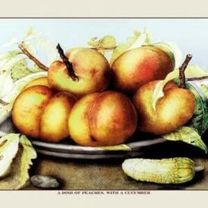 A Dish of Peaches with a Cucumber by Giovanna Garzoni - Art Print