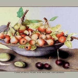 A Dish of Small Pears With Medlars and Cherries by Giovanna Garzoni - Art Print