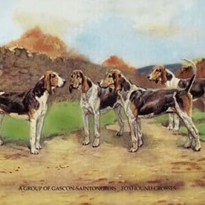 A Group of Gascon-Saintongeois Foxhound Crosses by Baron Karl Reille - Art Print