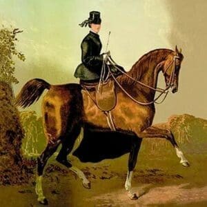 A Ladies' Horse by Samuel Sidney - Art Print