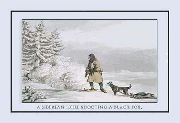 A Siberian Exile Prepares To Shoot A Black Fox by Atkinson - Art Print