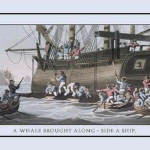 A Whale Brought Along-Side a Ship by J.H. Clark - Art Print