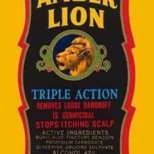 Amber Lion Triple Action - Art Print