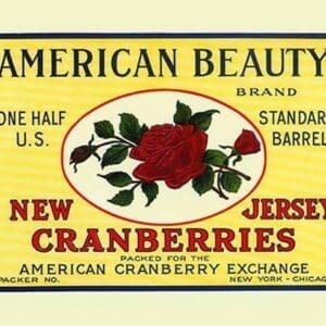 American Beauty New Jersey Cranberries - Art Print