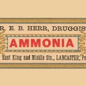 Ammonia - Art Print