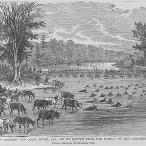 Animals ford Coosa river along with Federals that have been chasing General Hood by Frank Leslie - Art Print