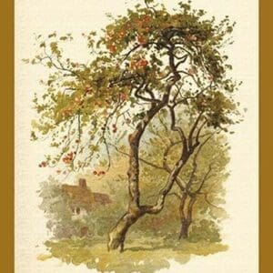Apple Tree by W.H.J. Boot - Art Print