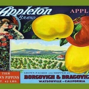 Appleton Brand Apples - Art Print