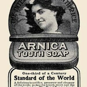 Arnica Tooth Soap - Art Print