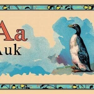 Auk - Art Print