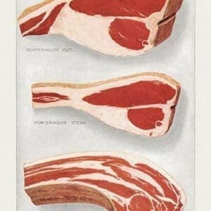 Beef: Porterhouse and Chuck - Art Print