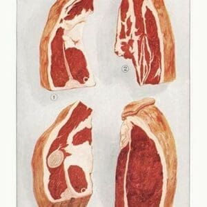 Beef: Steak and Sirloin - Art Print