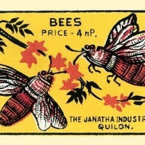 Bees - Art Print