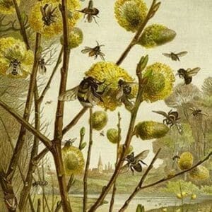 Bees & Wasps by Friedrich Wilhelm Kuhnert - Art Print