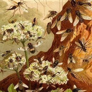 Bees by Friedrich Wilhelm Kuhnert - Art Print