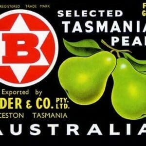 Bender & Co. Selected Tasmanian Pears - Art Print