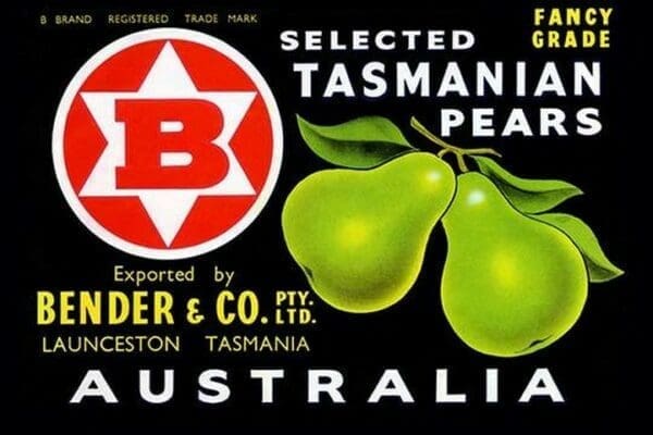 Bender & Co. Selected Tasmanian Pears - Art Print