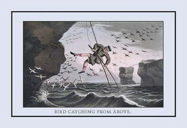 Bird Catching From Above by J.H. Clark - Art Print