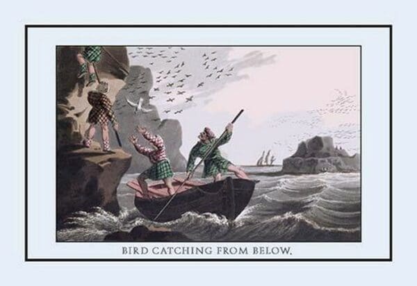 Bird Catching From Below by J.H. Clark - Art Print