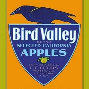 Bird Valley Brand Apples - Art Print