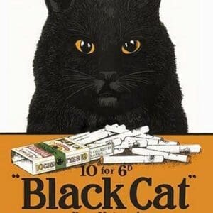 Black Cat Pure Matured Virginia Cigarettes - Art Print
