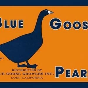 Blue Goose Pears - Art Print