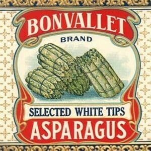 Bonvallet Selected White Tips Asparagus - Art Print