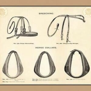 Breeching and Horse Collars - Art Print