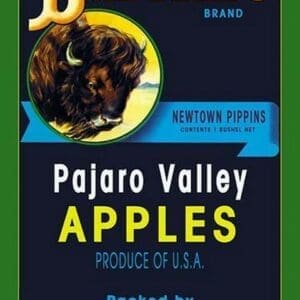 Buffalo Brand Apples - Art Print