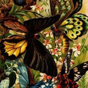 Butterflies by Friedrich Wilhelm Kuhnert - Art Print