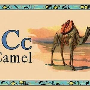 Camel #2 - Art Print