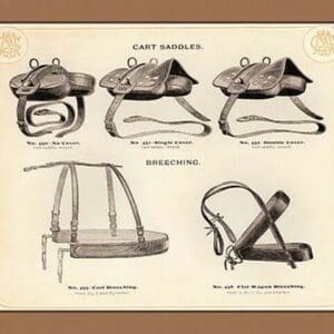 Cart Saddles and Breeching - Art Print