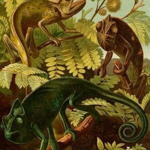 Chameleons by Friedrich Wilhelm Kuhnert - Art Print