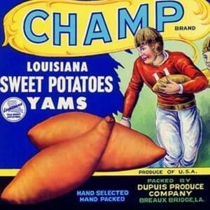 Champ Louisiana Sweet Potatoes - Art Print