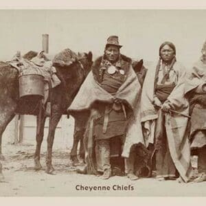 Cheyenne Chiefs - Art Print