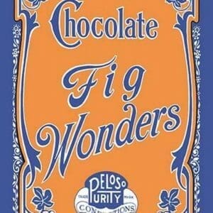 Chocolate Fig Wonders - Art Print