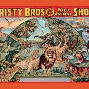 Christy Bros. 5 Ring Wild Animal Shows - Art Print