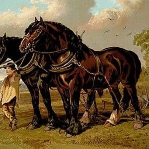 Clydesdale Stallion & Mare by Samuel Sidney - Art Print