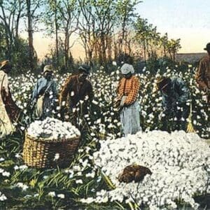 Cotton Field Workers - Art Print