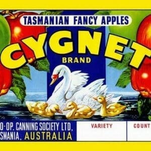 Cygnet Tasmanian Fancy Apples - Art Print