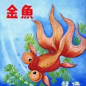 Fancy Bubble Eye Goldfish - Art Print