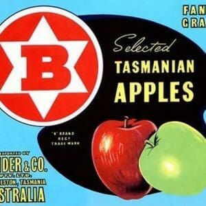 Fancy Grade Selected Tasmanian Apples - Art Print