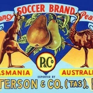 Fancy Soccer Brand Pears - Art Print