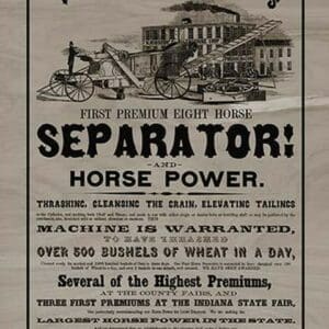 First Premium Eight Horse Separator - Art Print