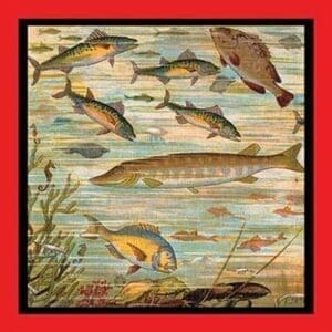 Fish Pond - Art Print